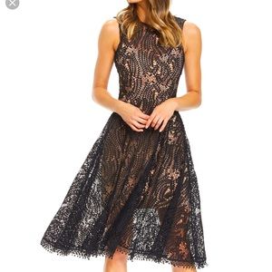 Dress the population black lace dress